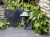 Bild 31