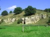 Image 31