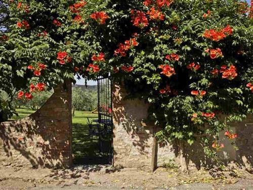 Ferielejlighed - 4 personer -  - Montespertoli - 50025