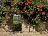 Image 1 - Outside