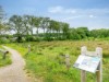 Billede 27