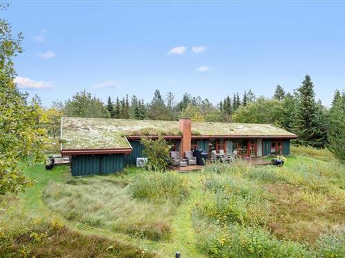 Sommerhus - 8 personer -  - Blåbærvej - Napstjært - 9981 - Jerup