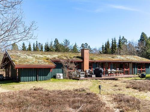 Sommerhus - 8 personer -  - Blåbærvej - Napstjært - 9981 - Jerup