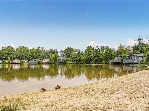 Holiday home - 4 persons -  - Weperpolder 33A - - 8431 RL - Oosterwolde