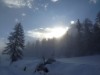 Bilde 48 - Ude