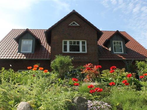 Semesterlägenhet - 20 personer -  - 23942 - Groß Schwansee