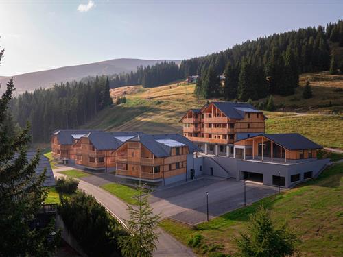 Ferielejlighed - 6 personer -  - 8831 - Lachtal