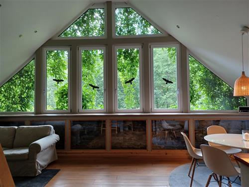 Ferienwohnung - 6 Personen -  - Lenzenhaus - 54531 - Wallscheid