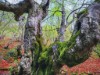 Image 28 - Outside