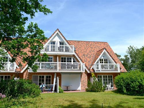 Ferielejlighed - 3 personer -  - Böhler Landstraße - 25826 - St. Peter-Ording
