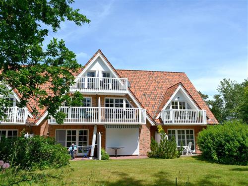Ferielejlighed - 3 personer -  - Böhler Landstraße - 25826 - St. Peter-Ording