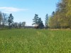 Bild 22