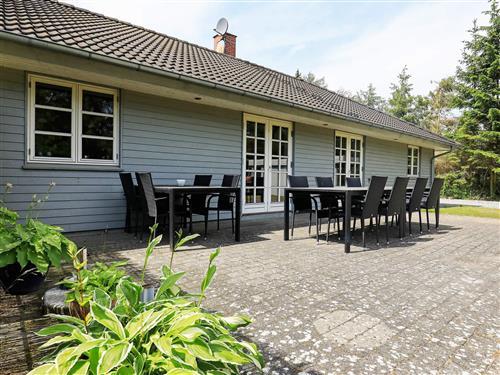 Ferienhaus - 12 Personen -  - Lyngageren - Hou - 9370 - Hals