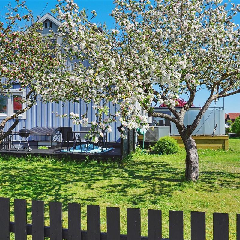  - 6 personer -  - Fidegatan - 62143 - Visby