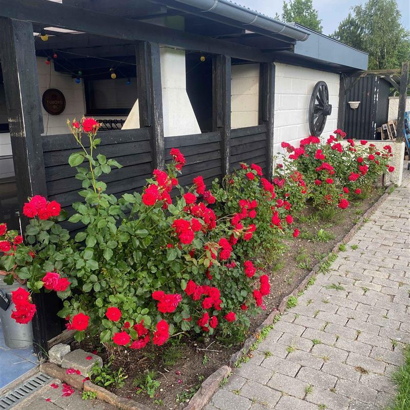 Sommerhus - 8 personer -  - Diget - 4571 - Grevinge