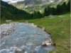 Bild 33