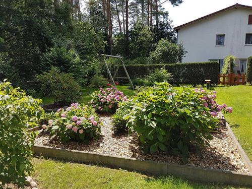 Holiday apartment - 2 persons -  - Kiefernhain - 17213 - Fünfseen Ot Lenz-Süd