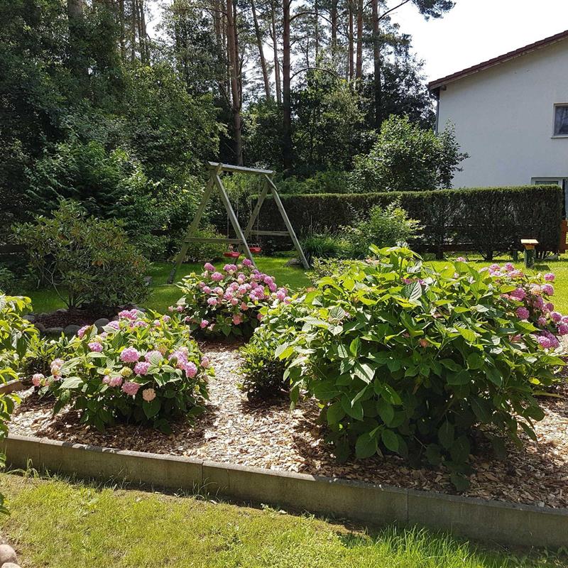 Ferielejlighed - 2 personer -  - Kiefernhain - 17213 - Fünfseen Ot Lenz-Süd