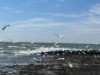 Bild 19