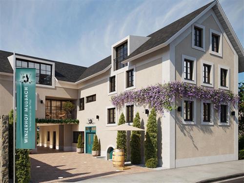 Ferielejlighed - 2 personer -  - Kleingasse - 67435 - Neustadt An Der Weinstraß