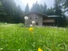 Image 36 - Outside
