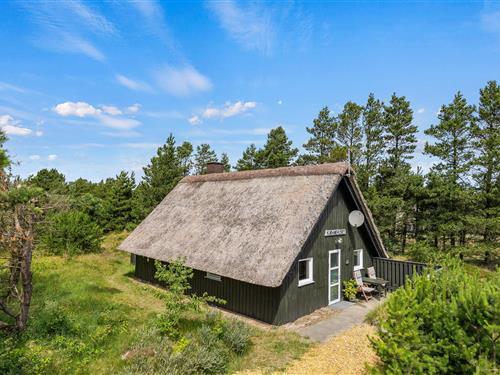 Semesterhus/Semesterlägenhet - 4 personer -  - Hedetoftvej - 6857 - Blåvand