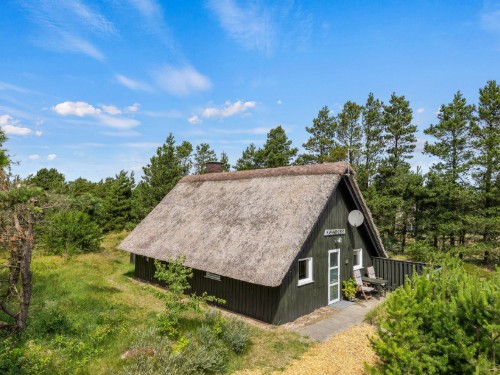 Feriehus - 4 personer -  - Hedetoftvej - 6857 - Blåvand