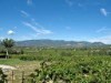Image 12 - Outside