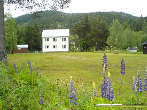 Holiday Home/Apartment - 14 persons -  - Knut Hovdens vei - Tokke - 3891 - Høydalsmo