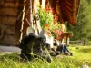 Bild 19