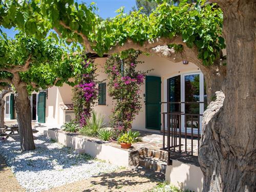 Holiday Home/Apartment - 4 persons -  - 1617 Chemin de la Cibonne, DOMAINE DE LA NAVICELLE - 83220 - Le Pradet