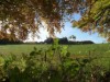 Bild 16