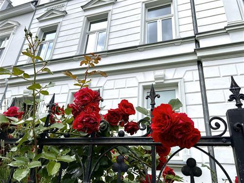 Ferielejlighed - 6 personer -  - Olof-Palme-Platz - 18439 - Stralsund