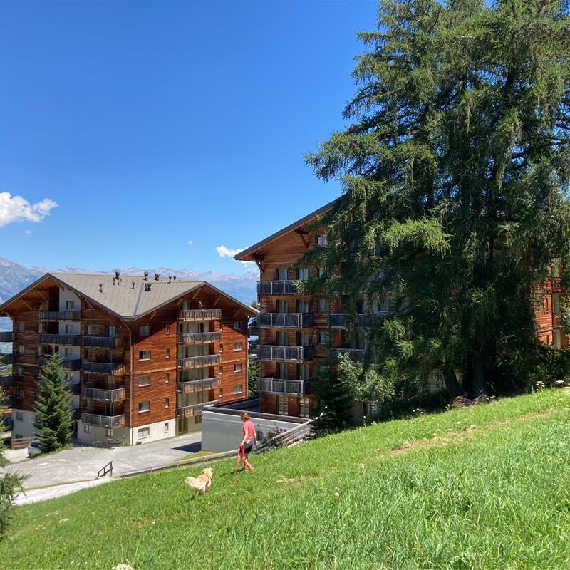 Ferielejlighed - 4 personer -  - Route de la télécabine - 1997 - Haute-Nendaz