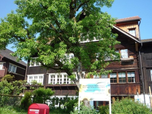 Sommerhus - 6 personer -  - Thal - 9425