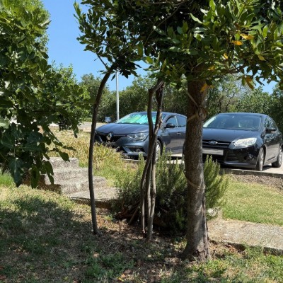 Billede 3