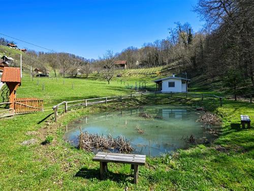 Sommerhus - 3 personer -  - Naselje Stefandol - Zagreb - Stefandol - 49243 - Andrasevec