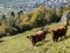 Bild 13