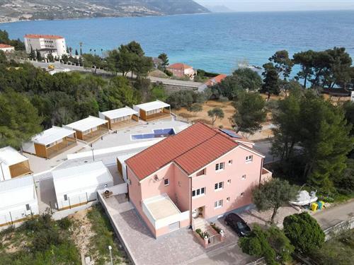 Holiday apartment - 2 persons -  - Iva Dulcica - Peljesac-Orebic - 20250 - Orebic