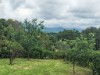 Image 3 - Outside