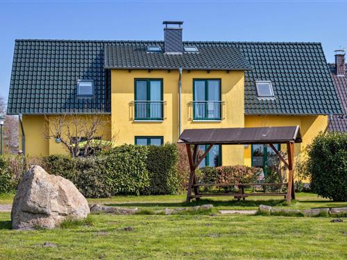 Feriehus - 7 personer -  - Hafenweg - 18317 - Saal-Hessenburg