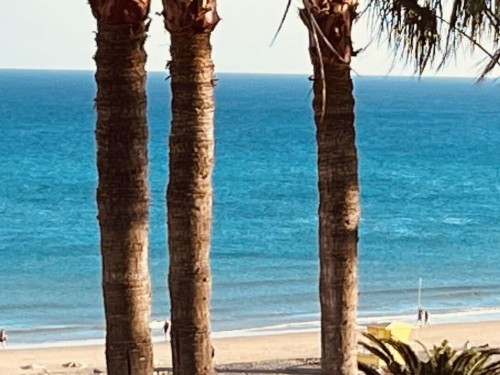 Fritidshus - 3 personer -  - 35627 - Costa Calma, Pajara