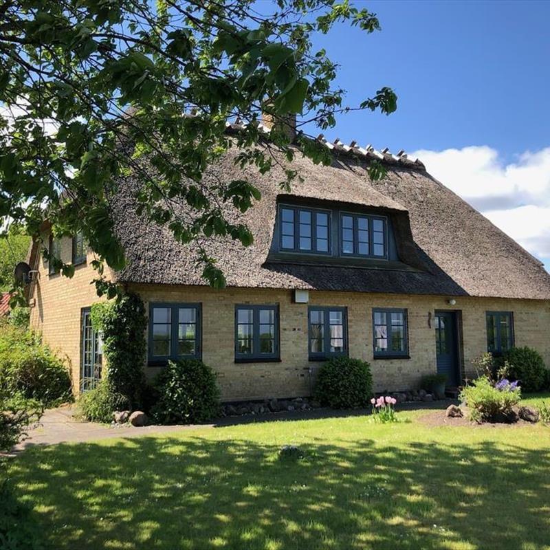 Ferienhaus - 6 Personen -  - Græskobbel - Asserballeskov - 6440 - Augustenborg