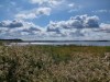 Billede 34 - Udsigt over vand