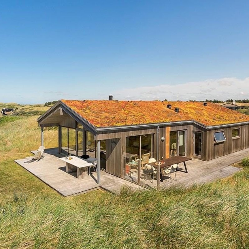 Ferienhaus - 8 Personen -  - Borgvej - 9493 - Saltum