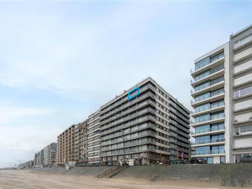 Ferielejlighed - 2 personer -  - 8370 - Blankenberge