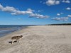 Bild 21 - Blick über's Wasser