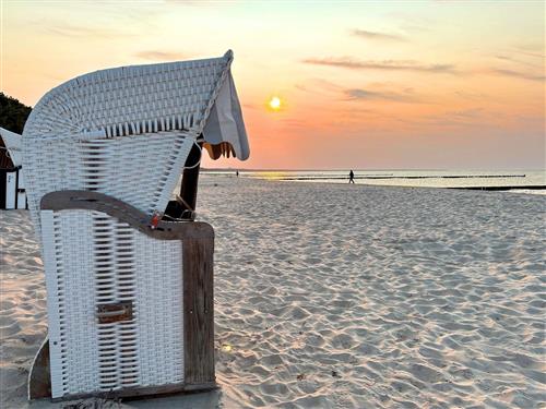 Semesteranläggning - 4 personer -  - Oberförsterweg - 17459 - Zempin