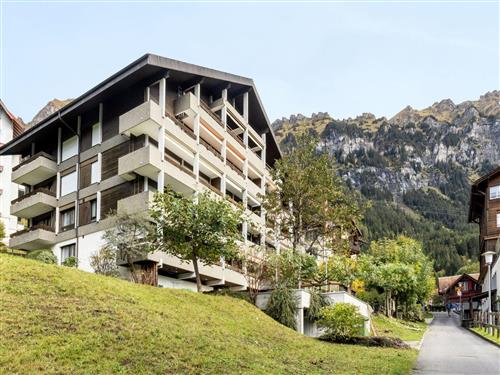 Holiday apartment - 4 persons -  - Wengen - 3823