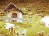 Bild 67